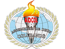 Logo-ADCOL-Retina